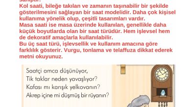 2. Sınıf İlke Yayınları Türkçe Ders Kitabı Sayfa 173 Cevapları