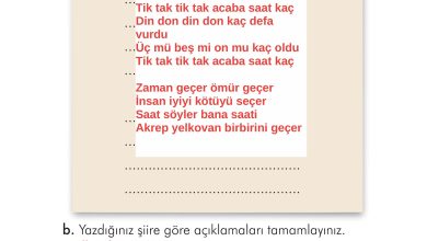 2. Sınıf İlke Yayınları Türkçe Ders Kitabı Sayfa 177 Cevapları