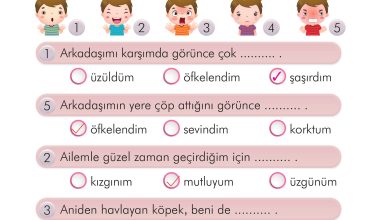 2. Sınıf İlke Yayınları Türkçe Ders Kitabı Sayfa 18 Cevapları