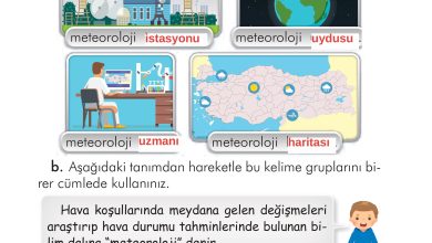 2. Sınıf İlke Yayınları Türkçe Ders Kitabı Sayfa 180 Cevapları