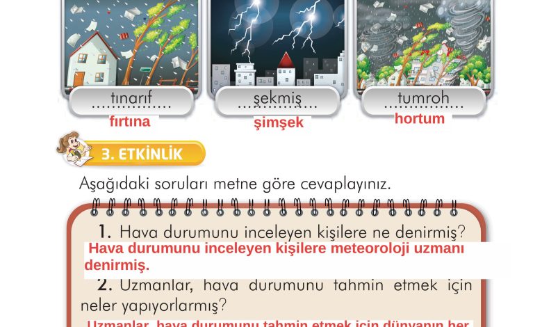 2. Sınıf İlke Yayınları Türkçe Ders Kitabı Sayfa 181 Cevapları