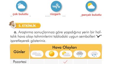 2. Sınıf İlke Yayınları Türkçe Ders Kitabı Sayfa 182 Cevapları