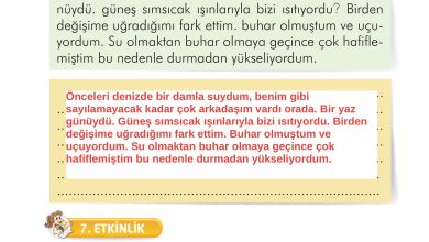 2. Sınıf İlke Yayınları Türkçe Ders Kitabı Sayfa 183 Cevapları