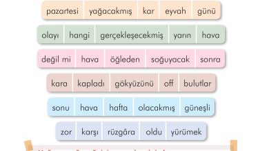 2. Sınıf İlke Yayınları Türkçe Ders Kitabı Sayfa 184 Cevapları