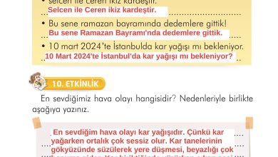 2. Sınıf İlke Yayınları Türkçe Ders Kitabı Sayfa 185 Cevapları