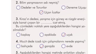 2. Sınıf İlke Yayınları Türkçe Ders Kitabı Sayfa 187 Cevapları