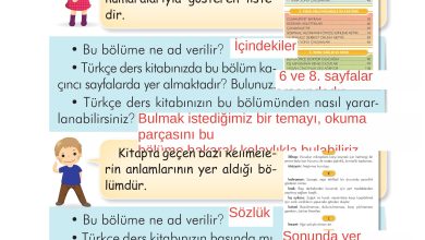 2. Sınıf İlke Yayınları Türkçe Ders Kitabı Sayfa 19 Cevapları