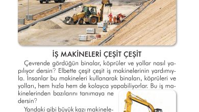 2. Sınıf İlke Yayınları Türkçe Ders Kitabı Sayfa 192 Cevapları