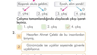 2. Sınıf İlke Yayınları Türkçe Ders Kitabı Sayfa 196 Cevapları