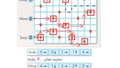 2. Sınıf İlke Yayınları Türkçe Ders Kitabı Sayfa 198 Cevapları