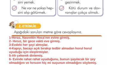 2. Sınıf İlke Yayınları Türkçe Ders Kitabı Sayfa 202 Cevapları