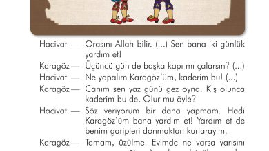 2. Sınıf İlke Yayınları Türkçe Ders Kitabı Sayfa 209 Cevapları