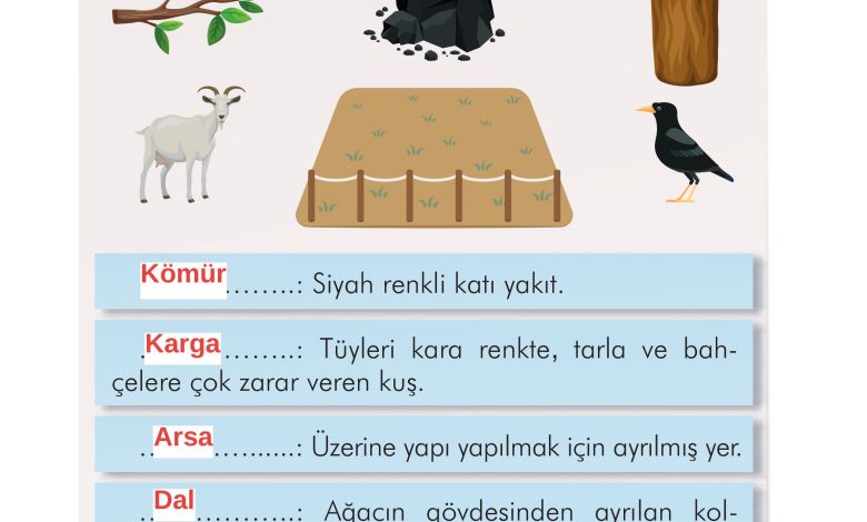 2. Sınıf İlke Yayınları Türkçe Ders Kitabı Sayfa 210 Cevapları