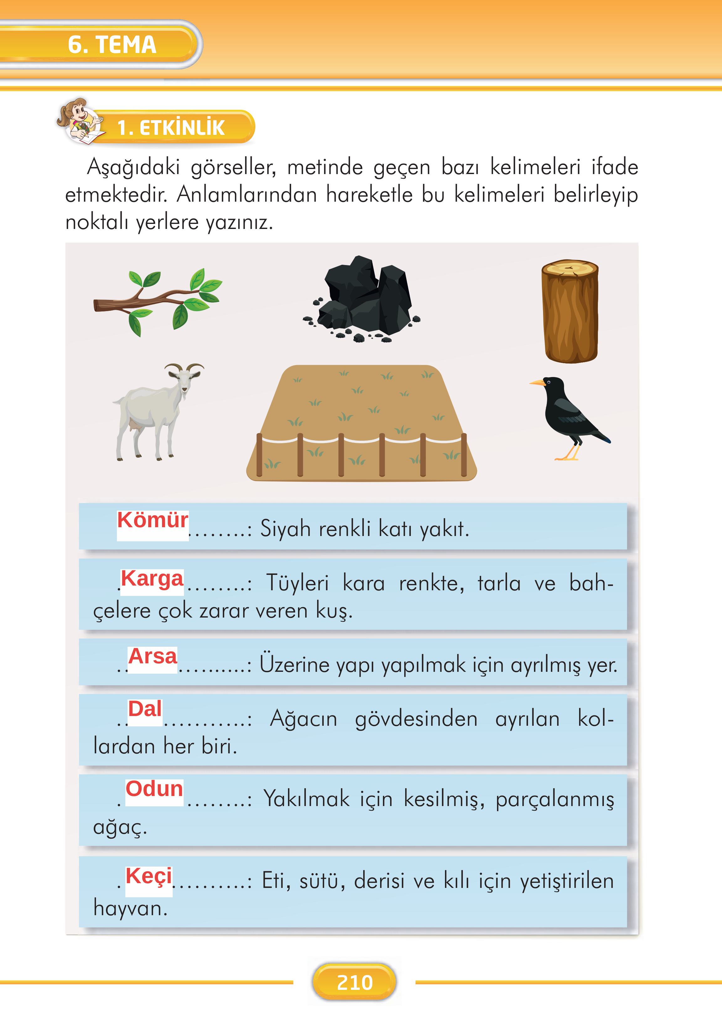 2. Sınıf İlke Yayınları Türkçe Ders Kitabı Sayfa 210 Cevapları