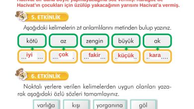 2. Sınıf İlke Yayınları Türkçe Ders Kitabı Sayfa 212 Cevapları