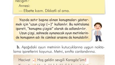 2. Sınıf İlke Yayınları Türkçe Ders Kitabı Sayfa 213 Cevapları