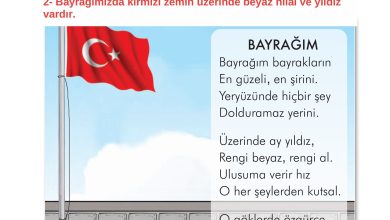 2. Sınıf İlke Yayınları Türkçe Ders Kitabı Sayfa 215 Cevapları