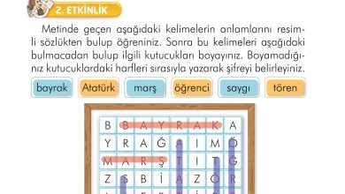 2. Sınıf İlke Yayınları Türkçe Ders Kitabı Sayfa 216 Cevapları