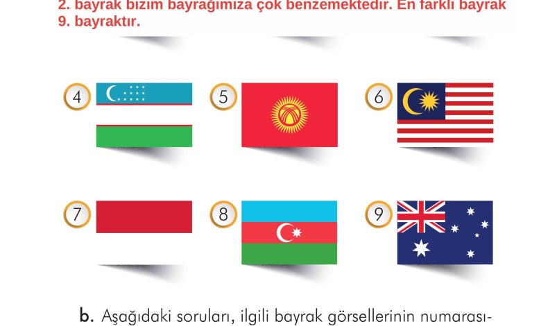 2. Sınıf İlke Yayınları Türkçe Ders Kitabı Sayfa 219 Cevapları