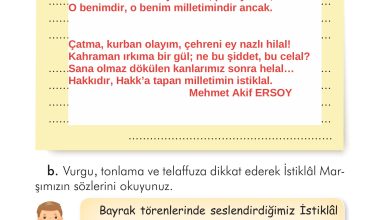 2. Sınıf İlke Yayınları Türkçe Ders Kitabı Sayfa 220 Cevapları