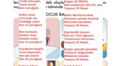 2. Sınıf İlke Yayınları Türkçe Ders Kitabı Sayfa 221 Cevapları