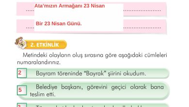 2. Sınıf İlke Yayınları Türkçe Ders Kitabı Sayfa 222 Cevapları