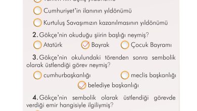 2. Sınıf İlke Yayınları Türkçe Ders Kitabı Sayfa 223 Cevapları