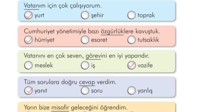 2. Sınıf İlke Yayınları Türkçe Ders Kitabı Sayfa 224 Cevapları