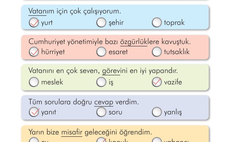 2. Sınıf İlke Yayınları Türkçe Ders Kitabı Sayfa 224 Cevapları