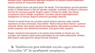 2. Sınıf İlke Yayınları Türkçe Ders Kitabı Sayfa 226 Cevapları