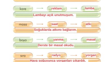 2. Sınıf İlke Yayınları Türkçe Ders Kitabı Sayfa 227 Cevapları