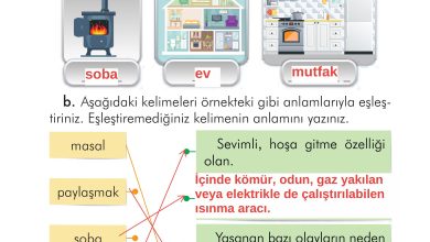 2. Sınıf İlke Yayınları Türkçe Ders Kitabı Sayfa 23 Cevapları