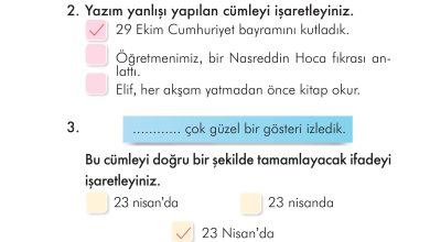 2. Sınıf İlke Yayınları Türkçe Ders Kitabı Sayfa 233 Cevapları