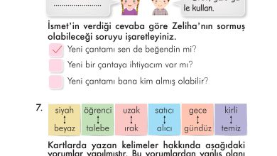 2. Sınıf İlke Yayınları Türkçe Ders Kitabı Sayfa 234 Cevapları