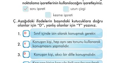 2. Sınıf İlke Yayınları Türkçe Ders Kitabı Sayfa 235 Cevapları