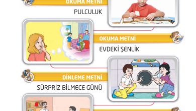 2. Sınıf İlke Yayınları Türkçe Ders Kitabı Sayfa 237 Cevapları