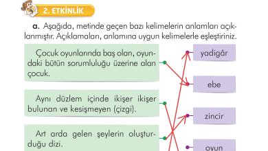 2. Sınıf İlke Yayınları Türkçe Ders Kitabı Sayfa 240 Cevapları