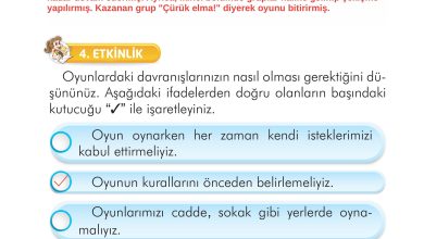 2. Sınıf İlke Yayınları Türkçe Ders Kitabı Sayfa 241 Cevapları