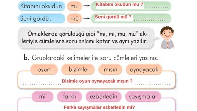 2. Sınıf İlke Yayınları Türkçe Ders Kitabı Sayfa 246 Cevapları