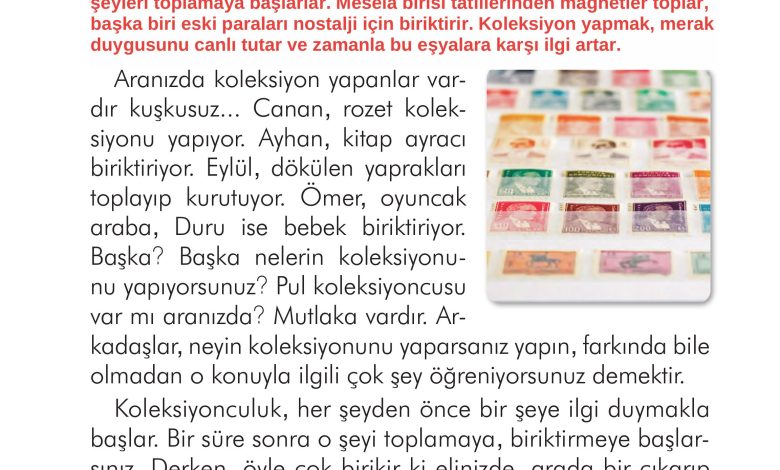 2. Sınıf İlke Yayınları Türkçe Ders Kitabı Sayfa 247 Cevapları