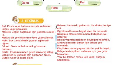 2. Sınıf İlke Yayınları Türkçe Ders Kitabı Sayfa 249 Cevapları