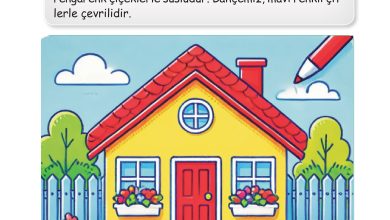 2. Sınıf İlke Yayınları Türkçe Ders Kitabı Sayfa 25 Cevapları