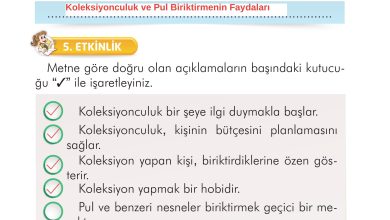 2. Sınıf İlke Yayınları Türkçe Ders Kitabı Sayfa 250 Cevapları