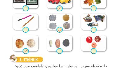 2. Sınıf İlke Yayınları Türkçe Ders Kitabı Sayfa 252 Cevapları