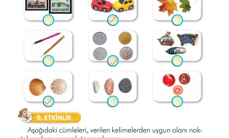 2. Sınıf İlke Yayınları Türkçe Ders Kitabı Sayfa 252 Cevapları