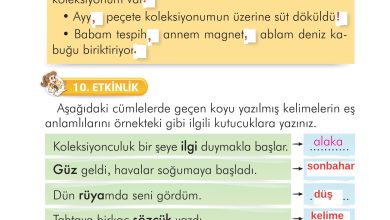 2. Sınıf İlke Yayınları Türkçe Ders Kitabı Sayfa 253 Cevapları