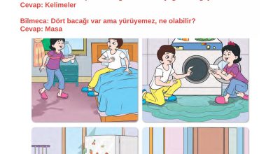 2. Sınıf İlke Yayınları Türkçe Ders Kitabı Sayfa 259 Cevapları