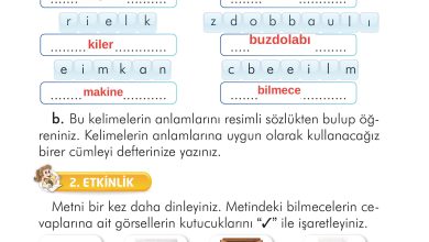 2. Sınıf İlke Yayınları Türkçe Ders Kitabı Sayfa 260 Cevapları