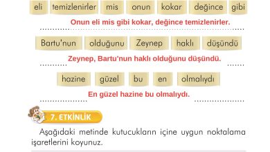 2. Sınıf İlke Yayınları Türkçe Ders Kitabı Sayfa 263 Cevapları