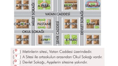 2. Sınıf İlke Yayınları Türkçe Ders Kitabı Sayfa 264 Cevapları